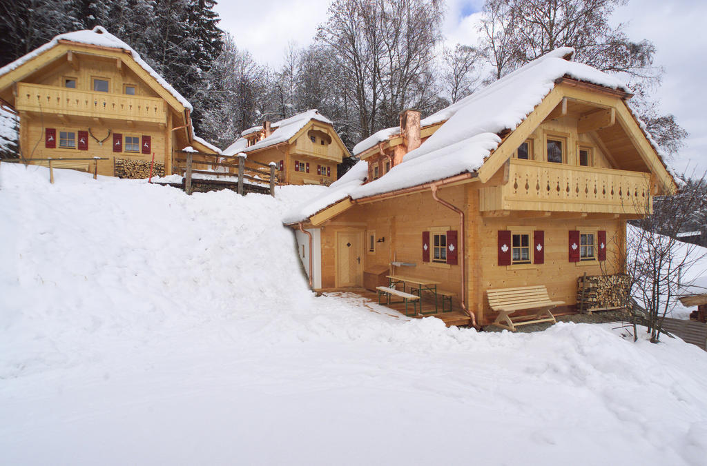 Naturdorf Oberkuehnreit Нойкирхен-ам-Гросфенедигер Экстерьер фото