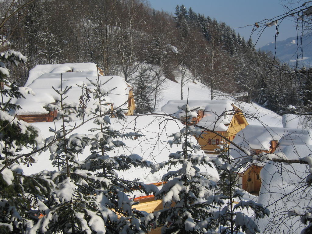 Naturdorf Oberkuehnreit Нойкирхен-ам-Гросфенедигер Экстерьер фото