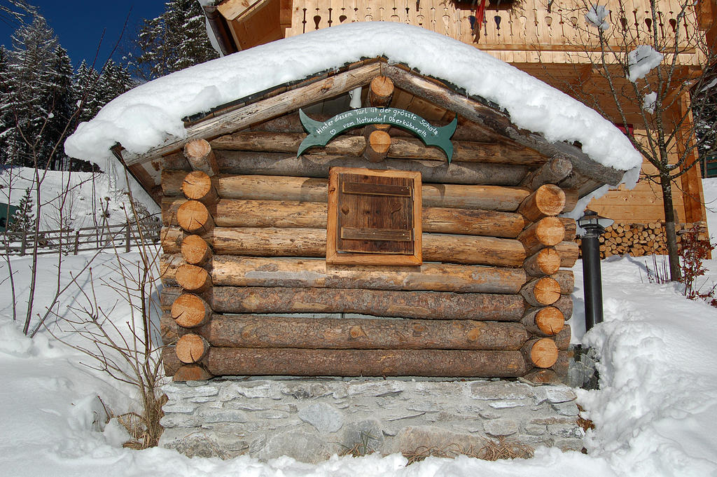 Naturdorf Oberkuehnreit Нойкирхен-ам-Гросфенедигер Экстерьер фото